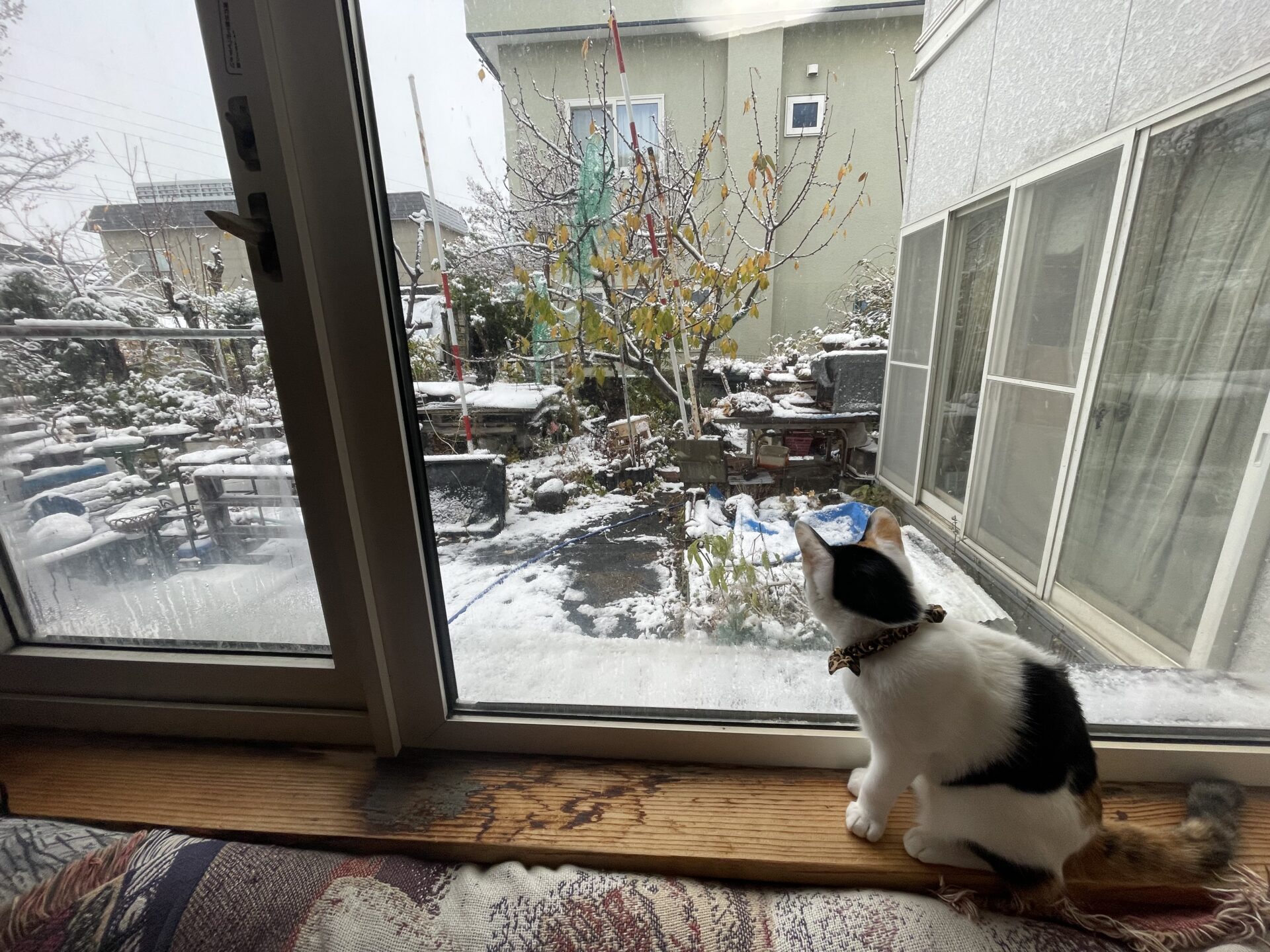 画像：寒さの原因は..